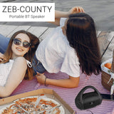 Zebronics ZEB-COUNTY 3W Wireless Bluetooth Portable Speaker With Supporting Carry Handle, USB, SD Card, AUX, FM & Call Function